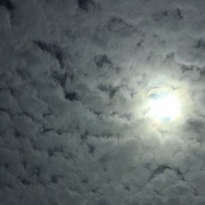 Meet your Posher, Phoebe